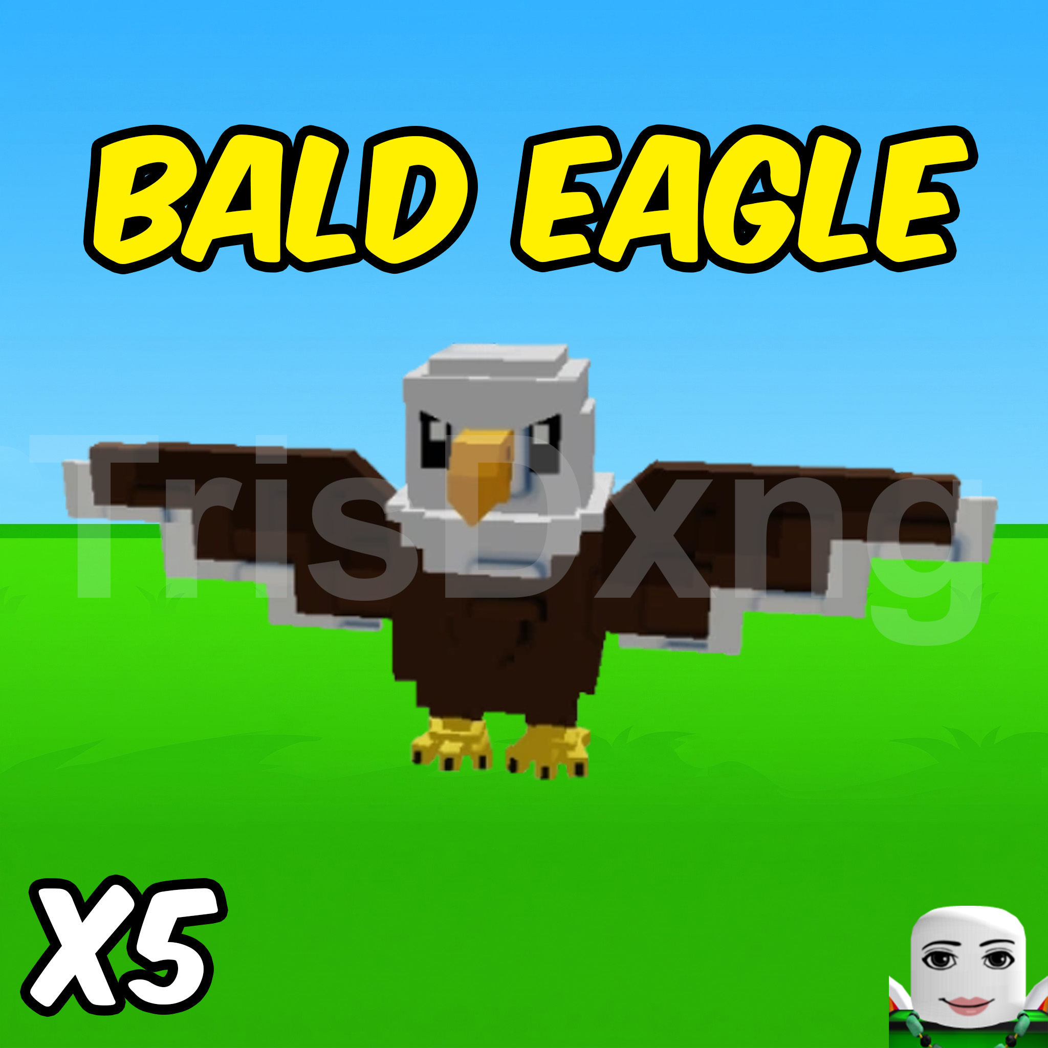 ACC 100% CÓ X5 PET BAD EAGLE